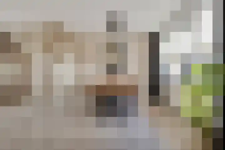 Harmoniestraat 35 Helmond thumbnail 18