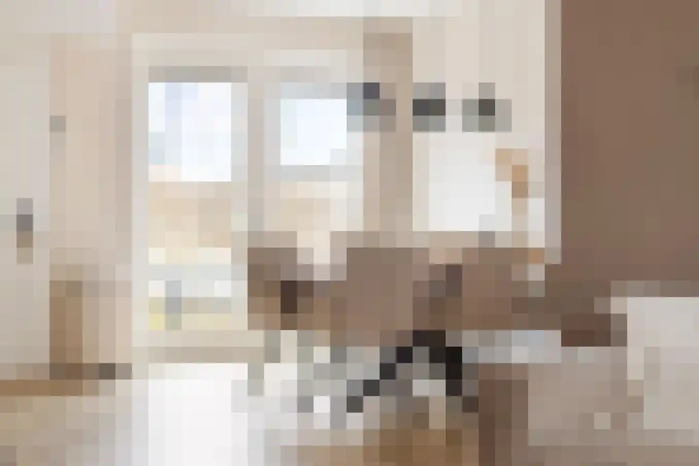 Harmoniestraat 43 Appingedam thumbnail 17