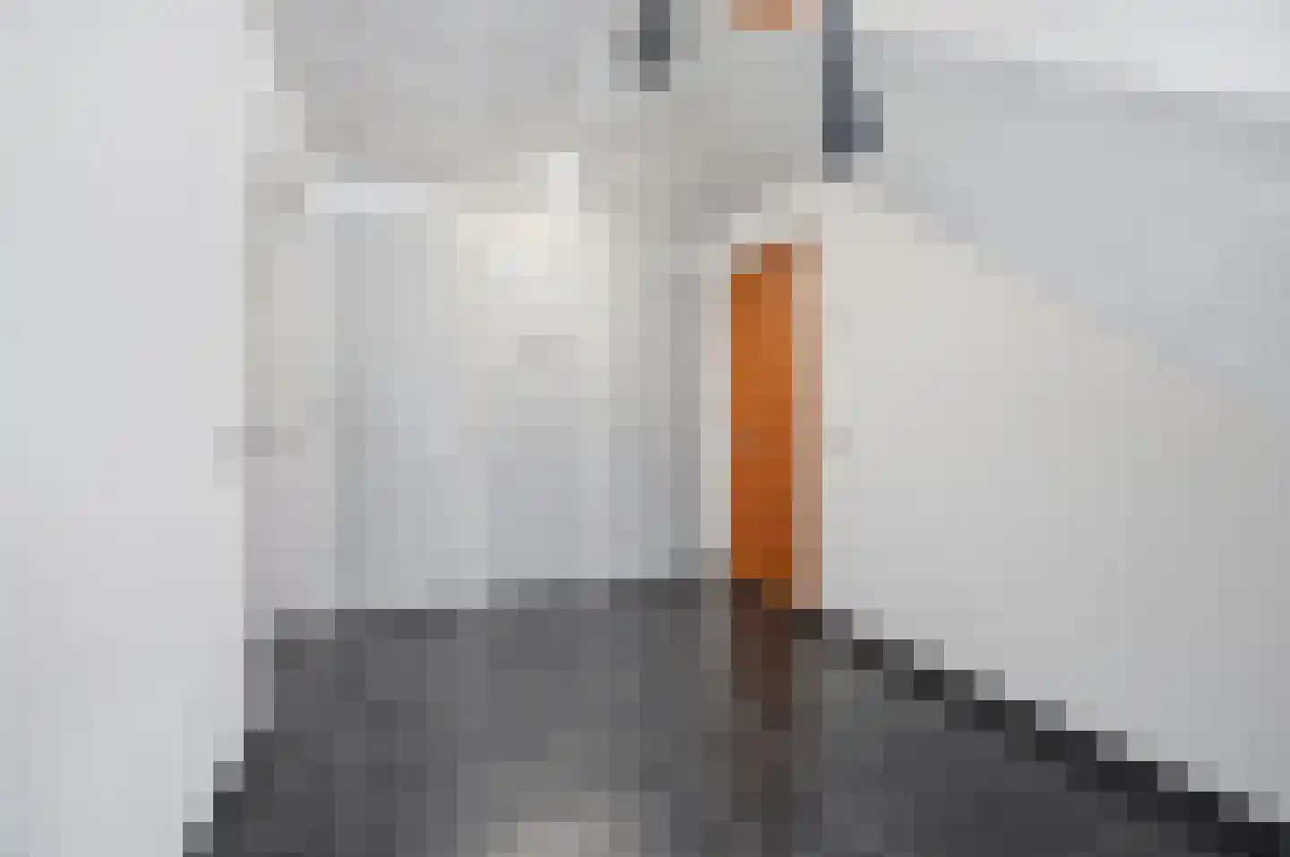 Harmoniestraat 6 A Oosterhout thumbnail 7