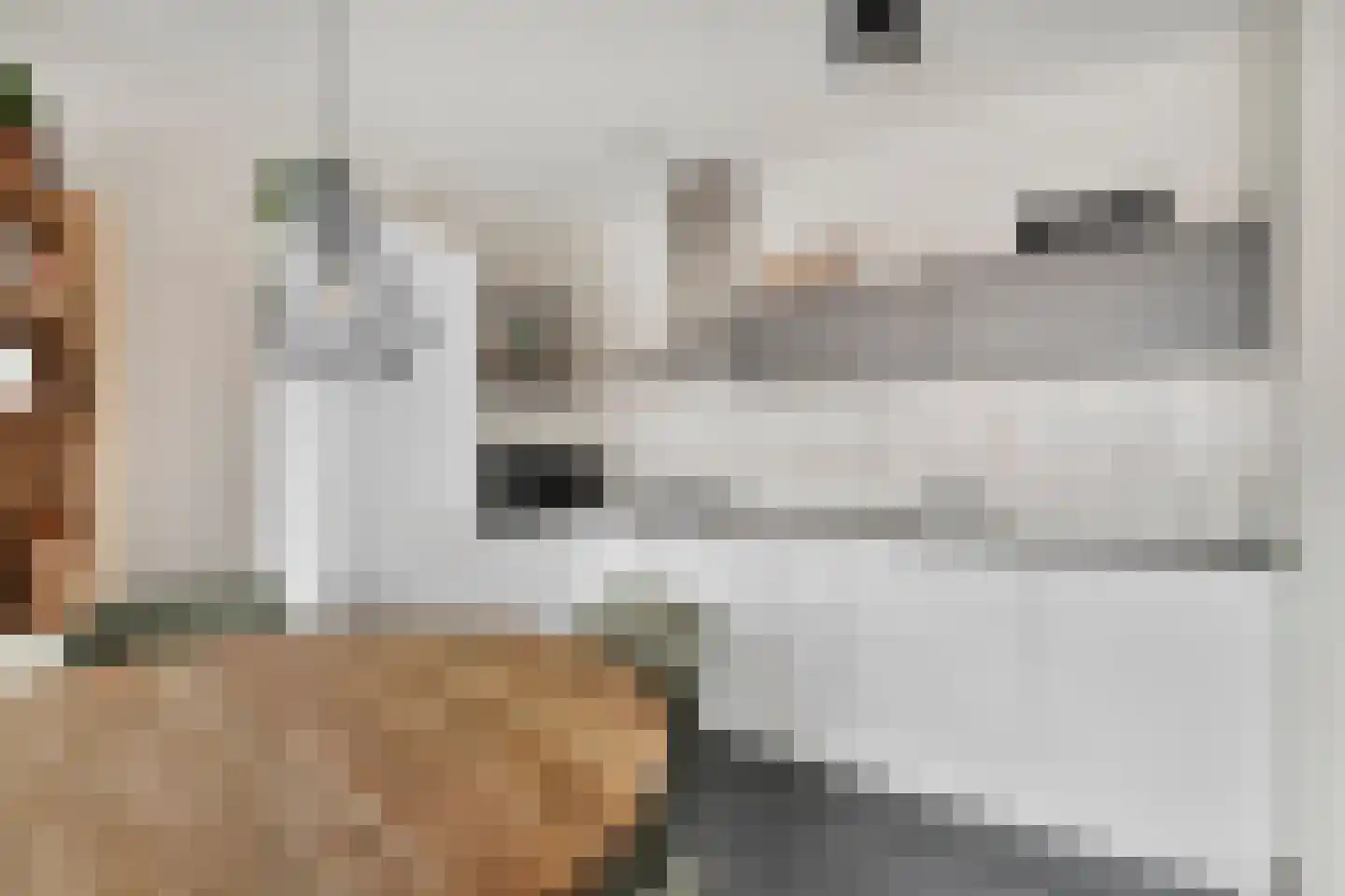 Harmoniestraat 6 C Oosterhout thumbnail 13