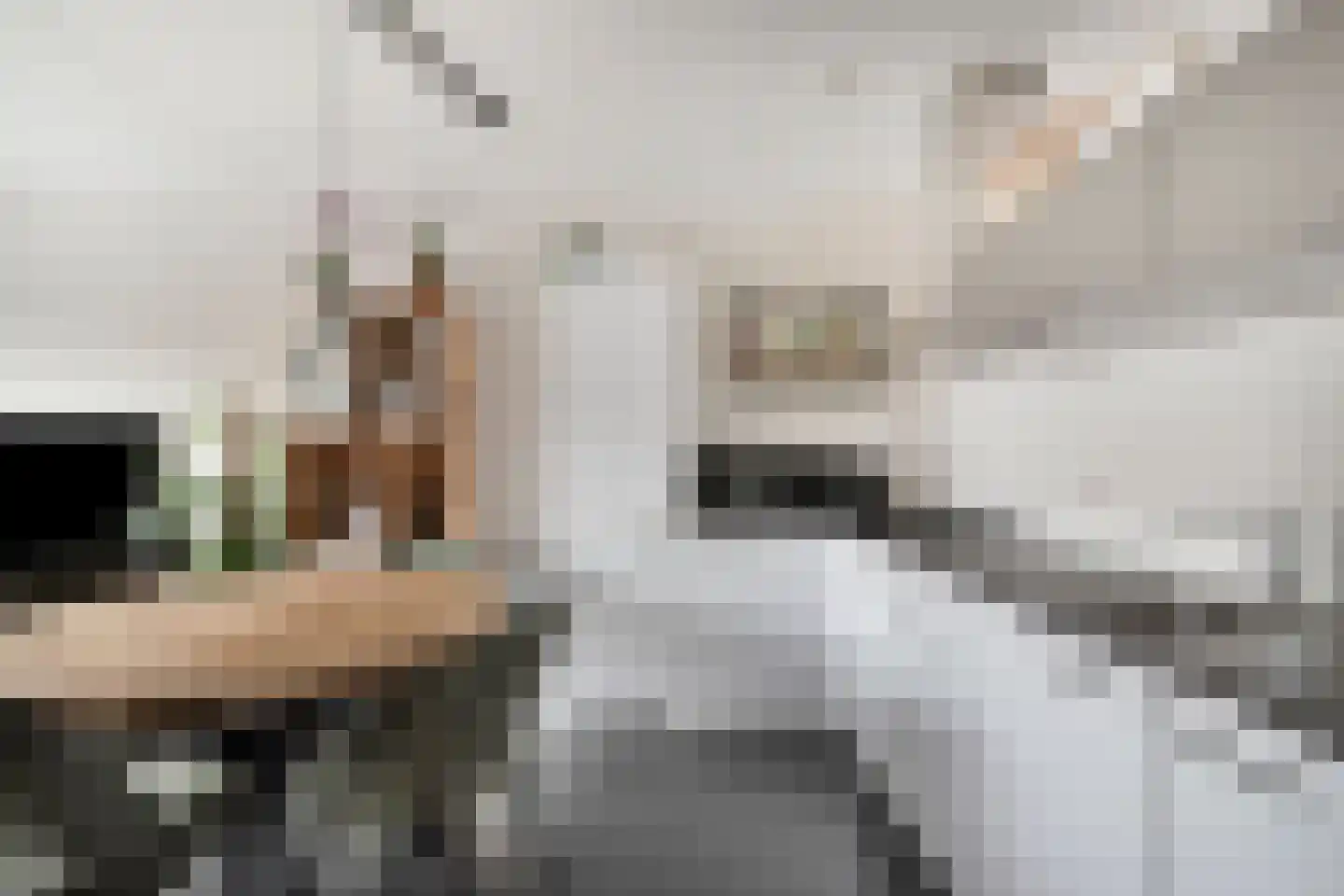 Harmoniestraat 6 C Oosterhout thumbnail 15
