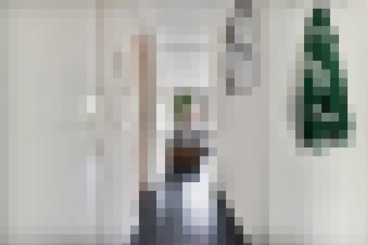 Harmoniestraat 6 C Oosterhout thumbnail 6