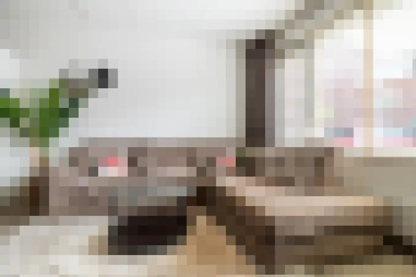 Harmoniestraat 6 Oosterhout thumbnail 11
