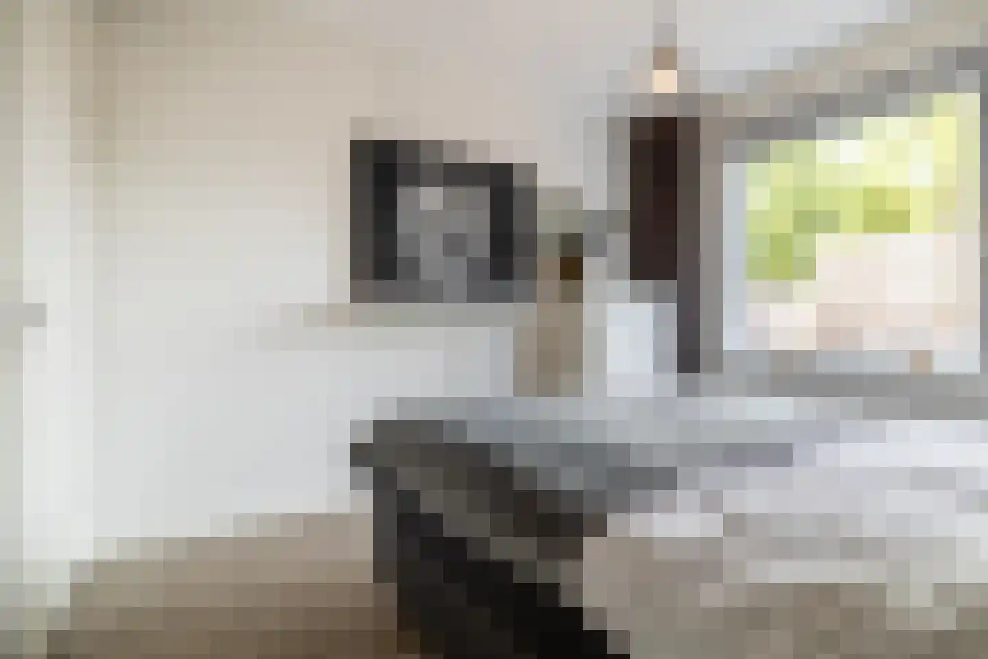 Harmoniestraat 6 Oosterhout thumbnail 17