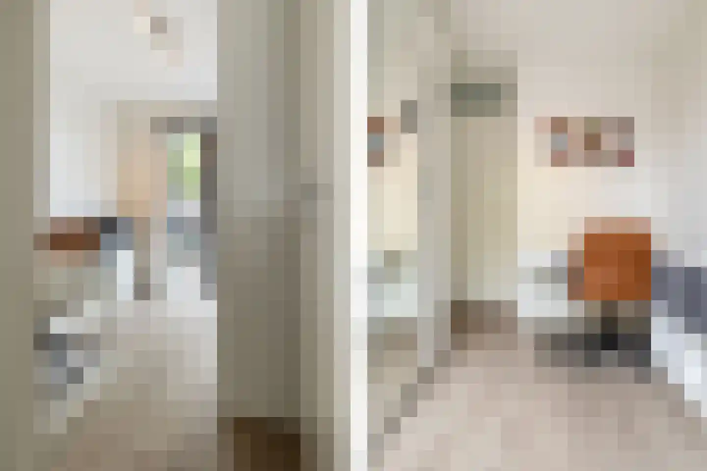Harmoniestraat 6 Oosterhout thumbnail 20