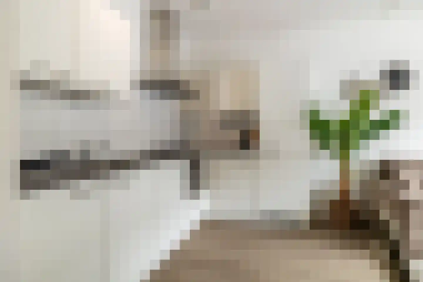 Harmoniestraat 6 Oosterhout thumbnail 4
