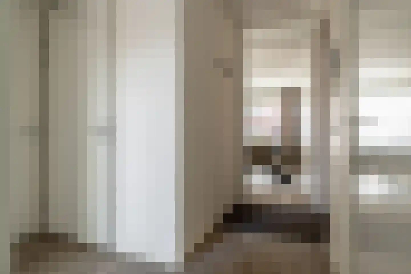 Harmoniestraat 6 Oosterhout thumbnail 9