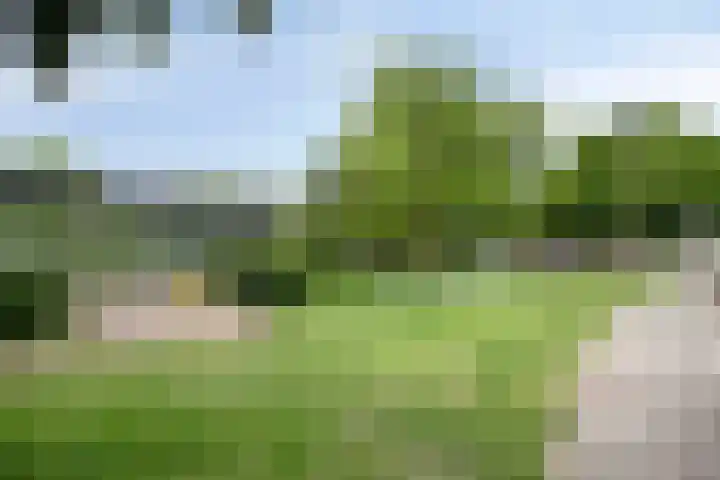 Harmoniestraat 79 Helmond thumbnail 34