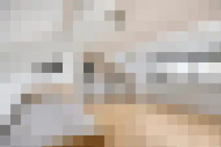 Harmoniestraat 9 Helmond thumbnail 36