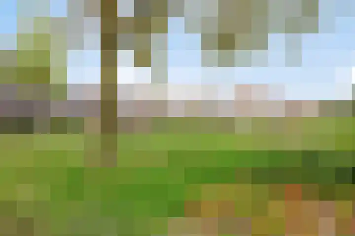Harmoniestraat 9 Helmond thumbnail 39