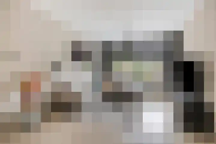 Harmoniestraat 9 Helmond thumbnail 9