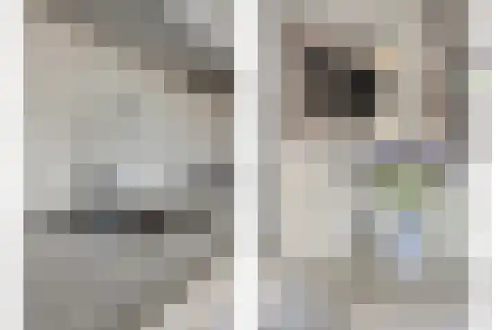 Harmonieweg 7 Gronsveld thumbnail 13