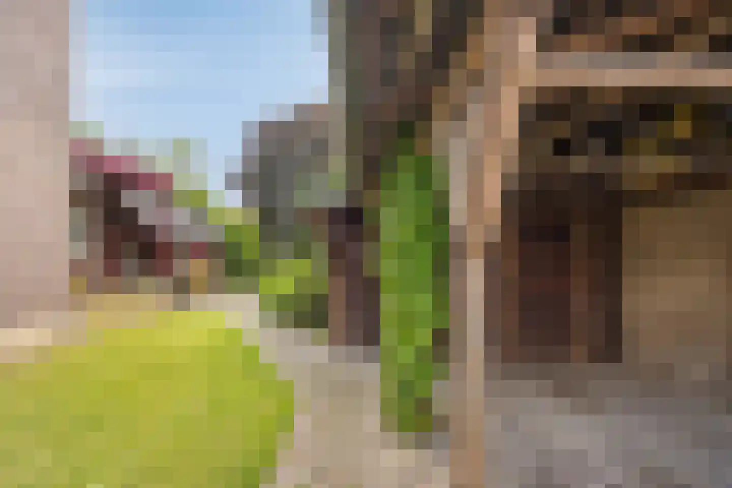 Harmonieweg 9 Gronsveld thumbnail 36