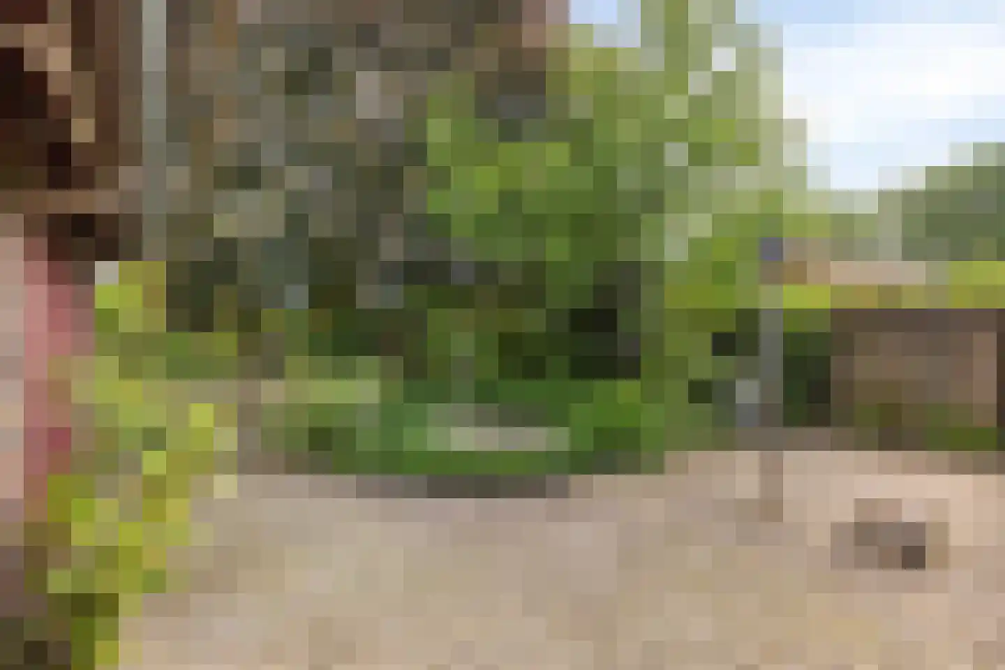 Harmonieweg 9 Gronsveld thumbnail 38