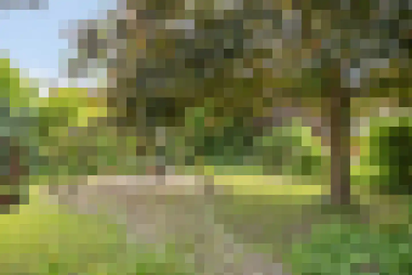 Harmonieweg 9 Gronsveld thumbnail 39