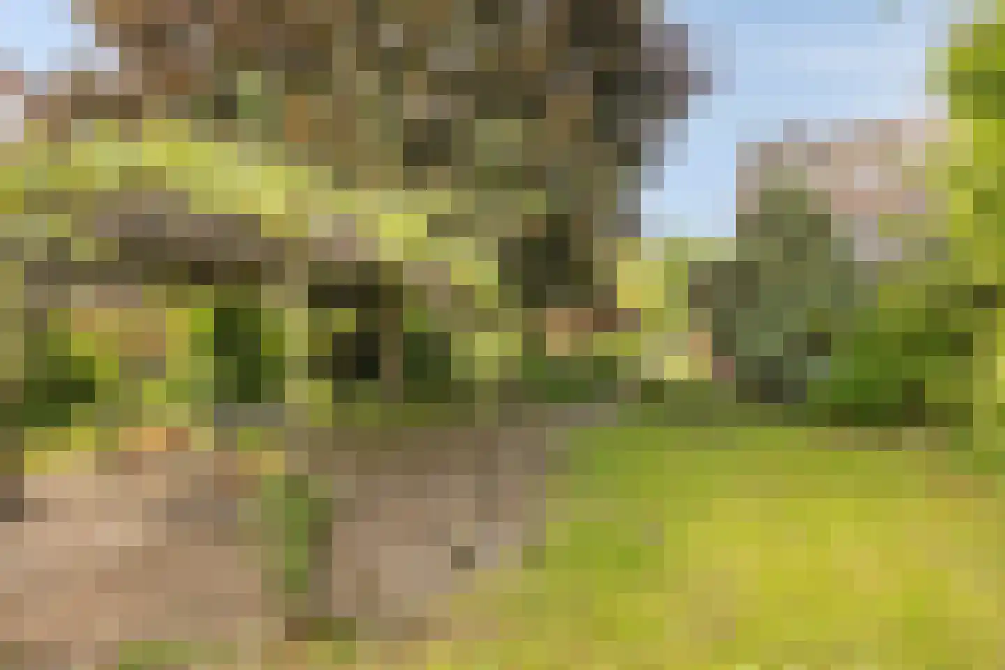 Harmonieweg 9 Gronsveld thumbnail 40
