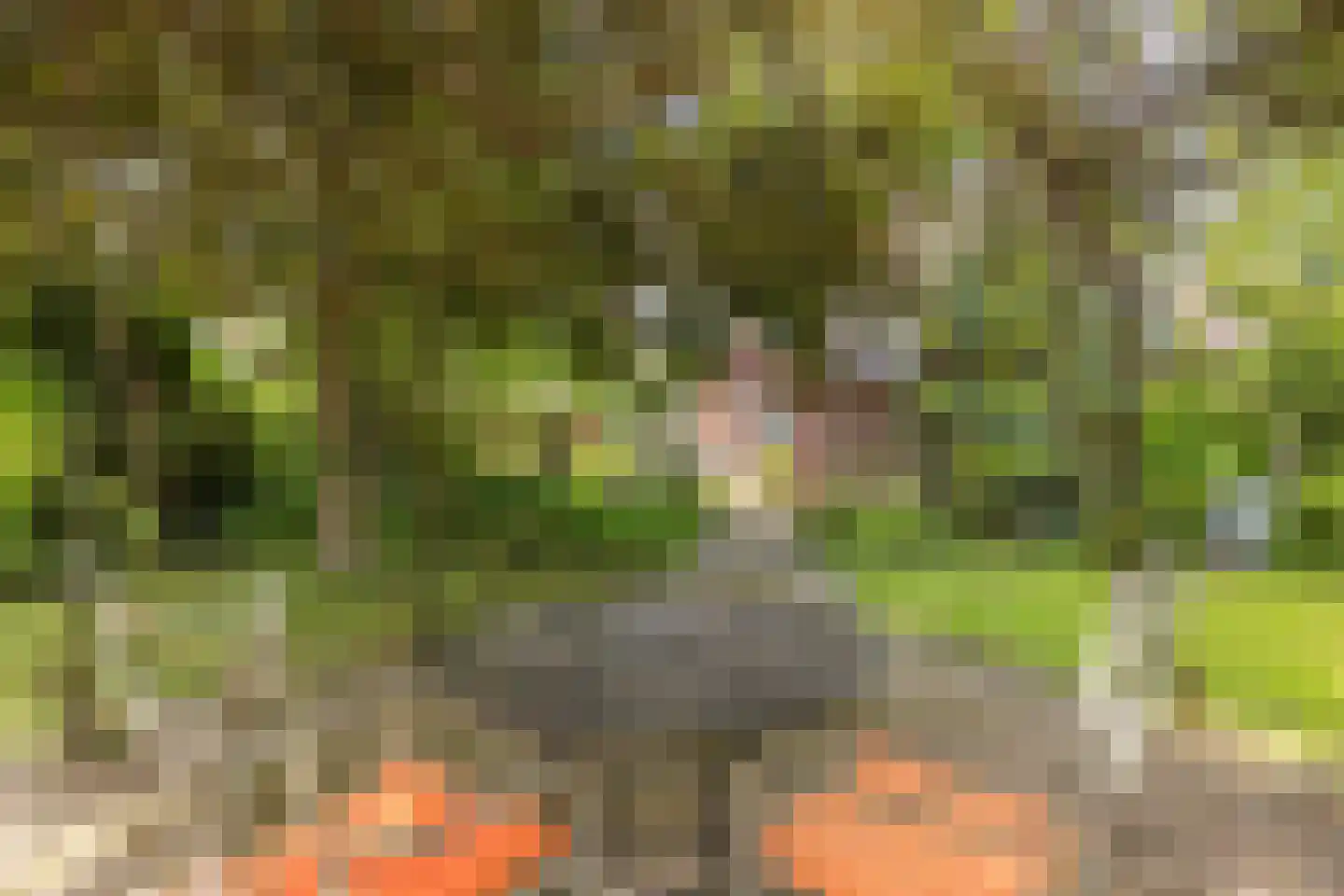 Harmonieweg 9 Gronsveld thumbnail 41
