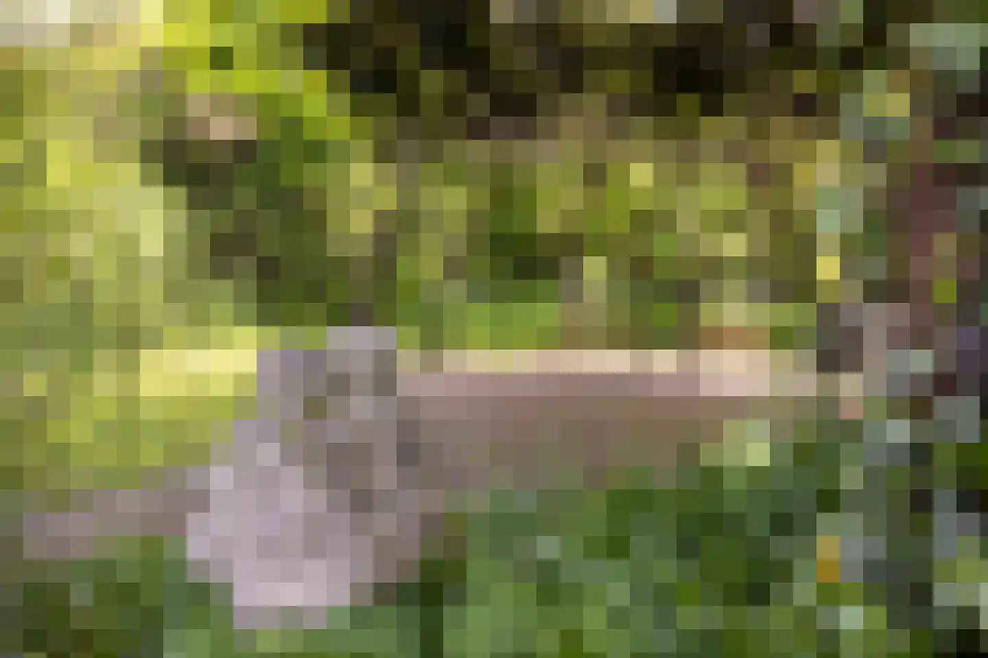 Harmonieweg 9 Gronsveld thumbnail 46