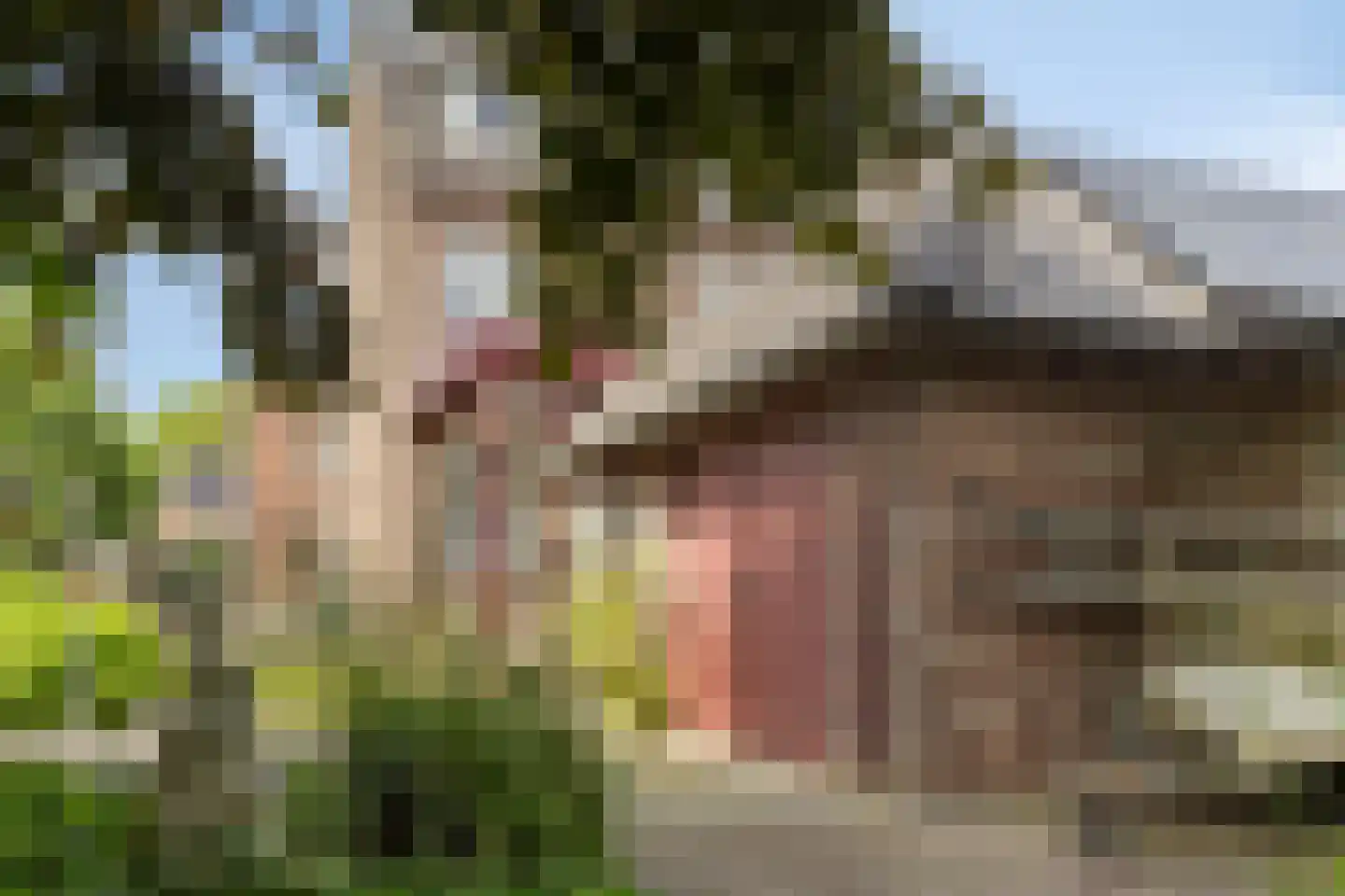 Harmonieweg 9 Gronsveld thumbnail 47