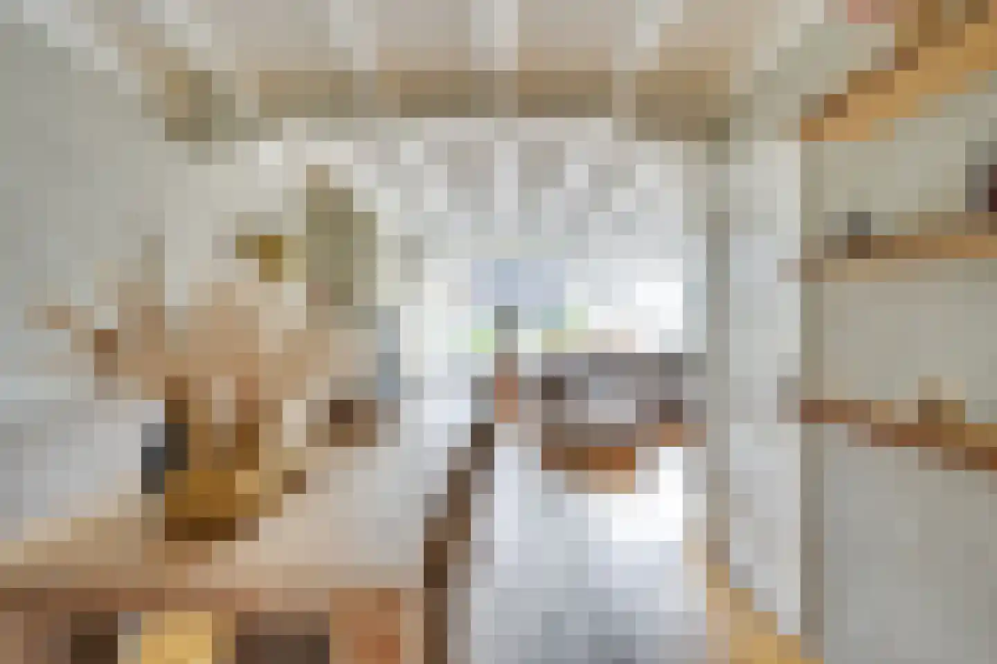 Harmoniumlaan 10 Uden thumbnail 12