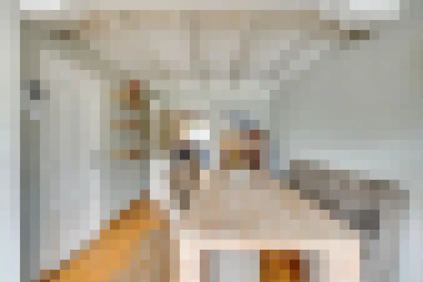 Harmoniumlaan 10 Uden thumbnail 13