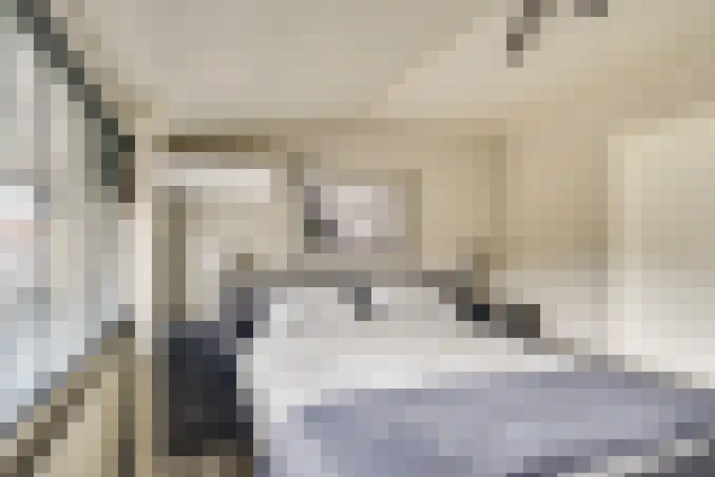 Harmoniumlaan 10 Uden thumbnail 18