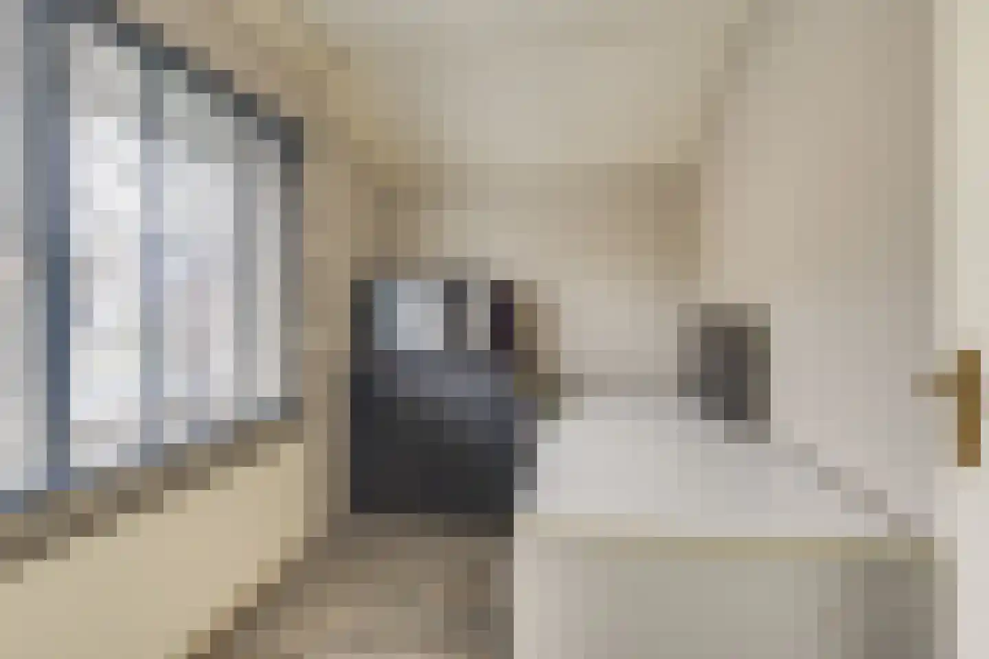 Harmoniumlaan 10 Uden thumbnail 21