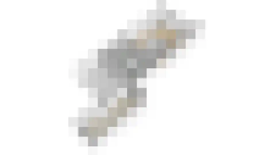 Harmoniumlaan 10 Uden thumbnail 26