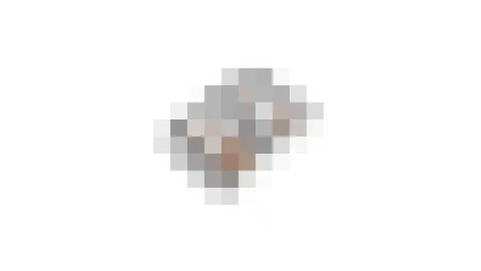 Harmoniumlaan 10 Uden thumbnail 30
