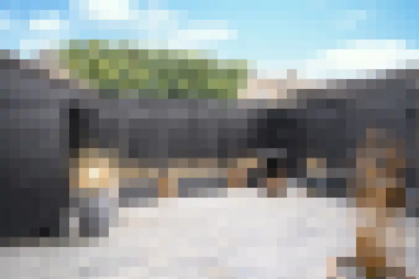 Harmoniumlaan 10 Uden thumbnail 8