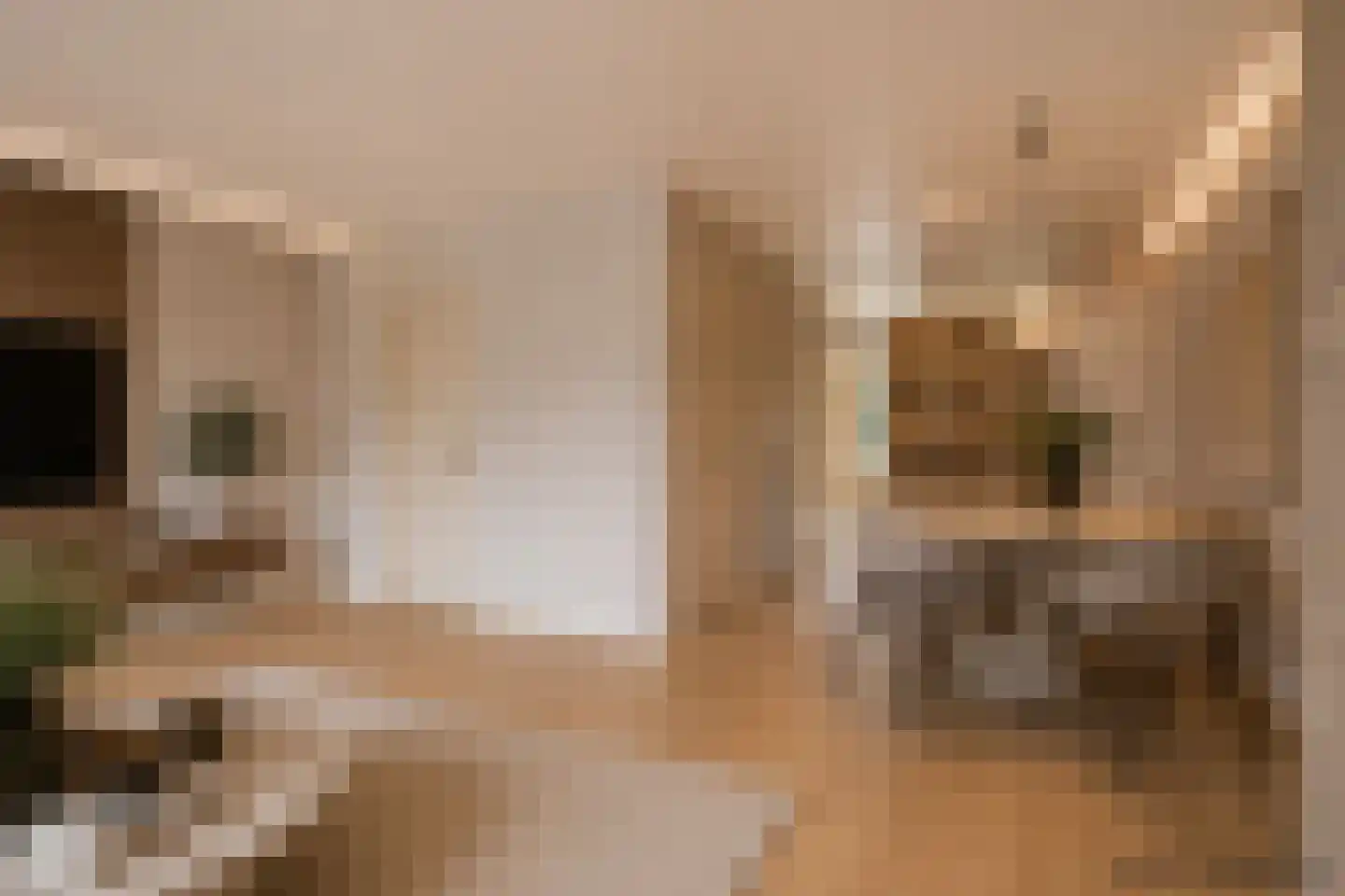 Harmoniumlaan 7 Uden thumbnail 11