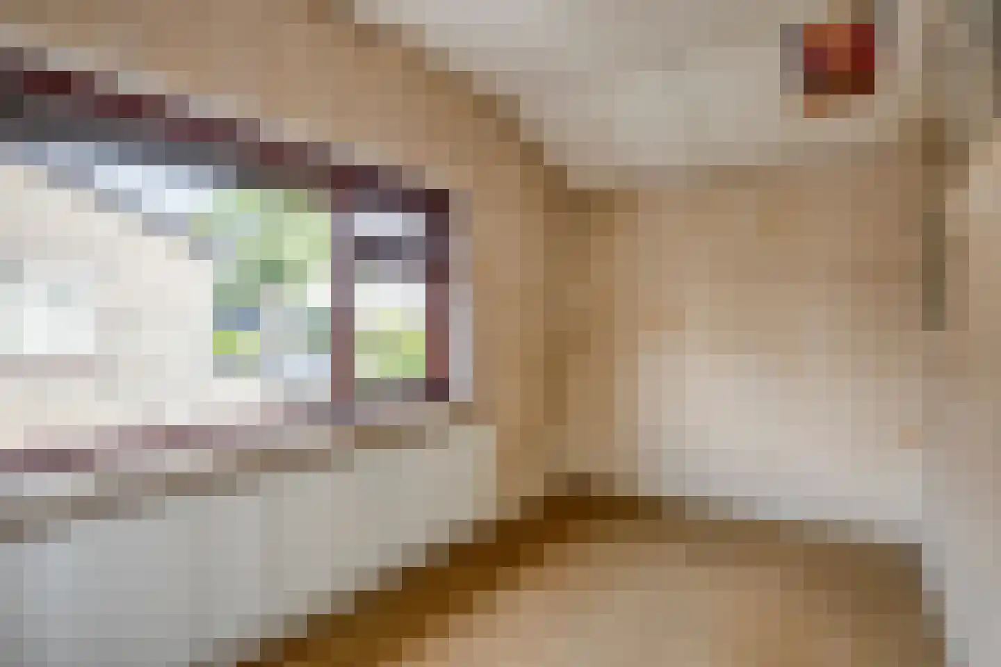 Harmoniumlaan 7 Uden thumbnail 25