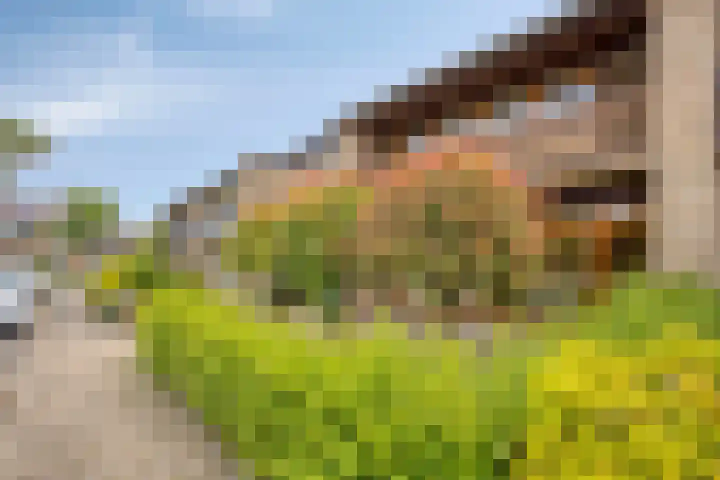 Harmoniumlaan 7 Uden thumbnail 34