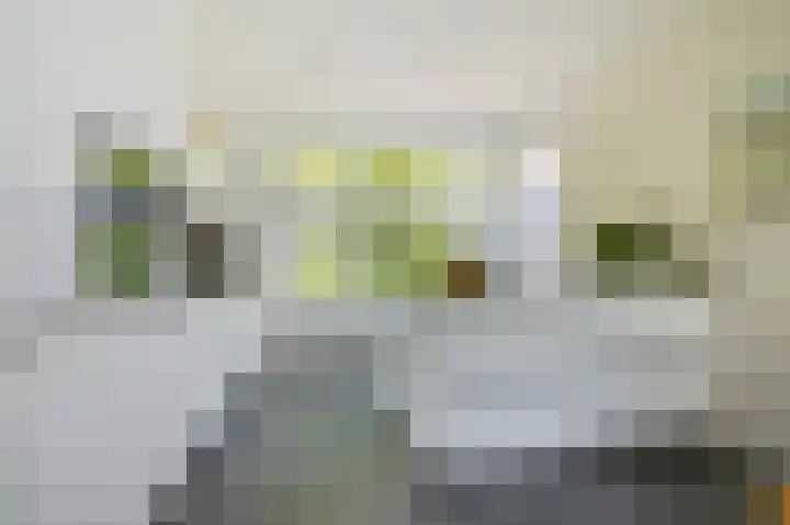 Harmsen van der Beeklaan 4 Blaricum thumbnail 13