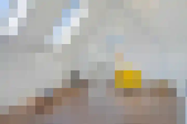 Harmsen van der Beeklaan 4 Blaricum thumbnail 24