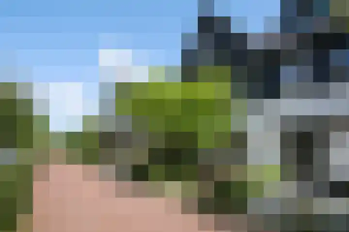 Harmsen van der Beeklaan 4 Blaricum thumbnail 36