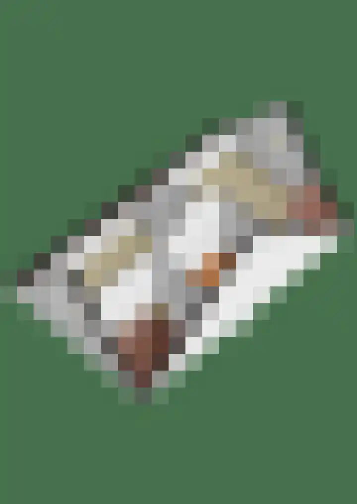 Harmsen van der Beeklaan 4 Blaricum thumbnail 44