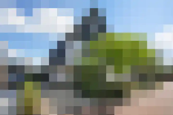Harmsen van der Beeklaan 4 Blaricum thumbnail 45