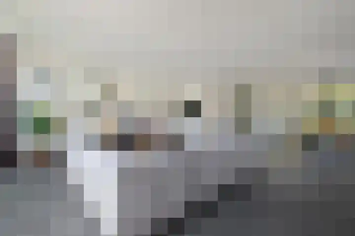 Harmsen van der Beeklaan 4 Blaricum thumbnail 6
