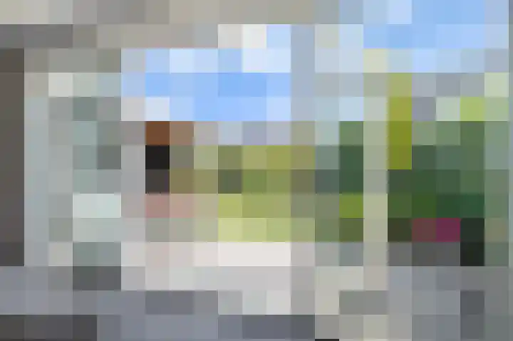 Harmsen van der Beeklaan 4 Blaricum thumbnail 9