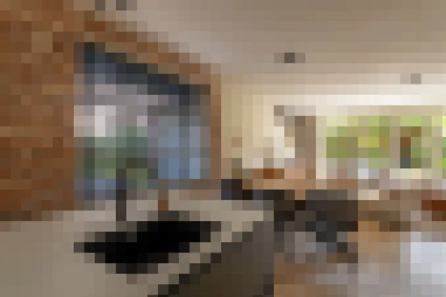 Harmsen van der Beeklaan 8 Blaricum thumbnail 18