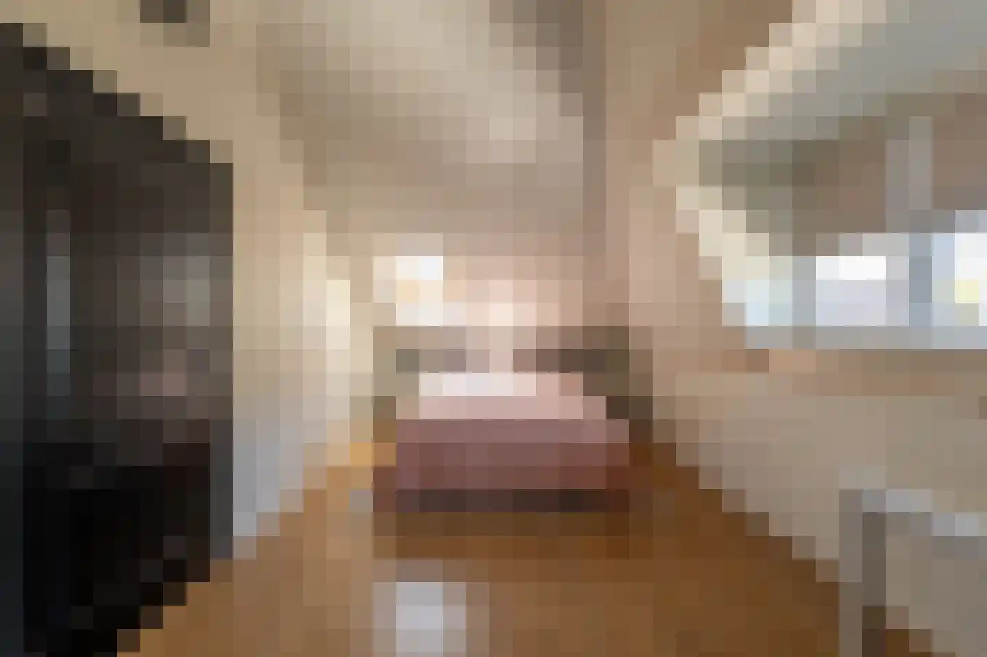 Harmsen van der Beeklaan 8 Blaricum thumbnail 40