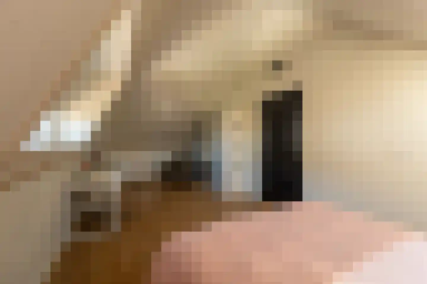 Harmsen van der Beeklaan 8 Blaricum thumbnail 41