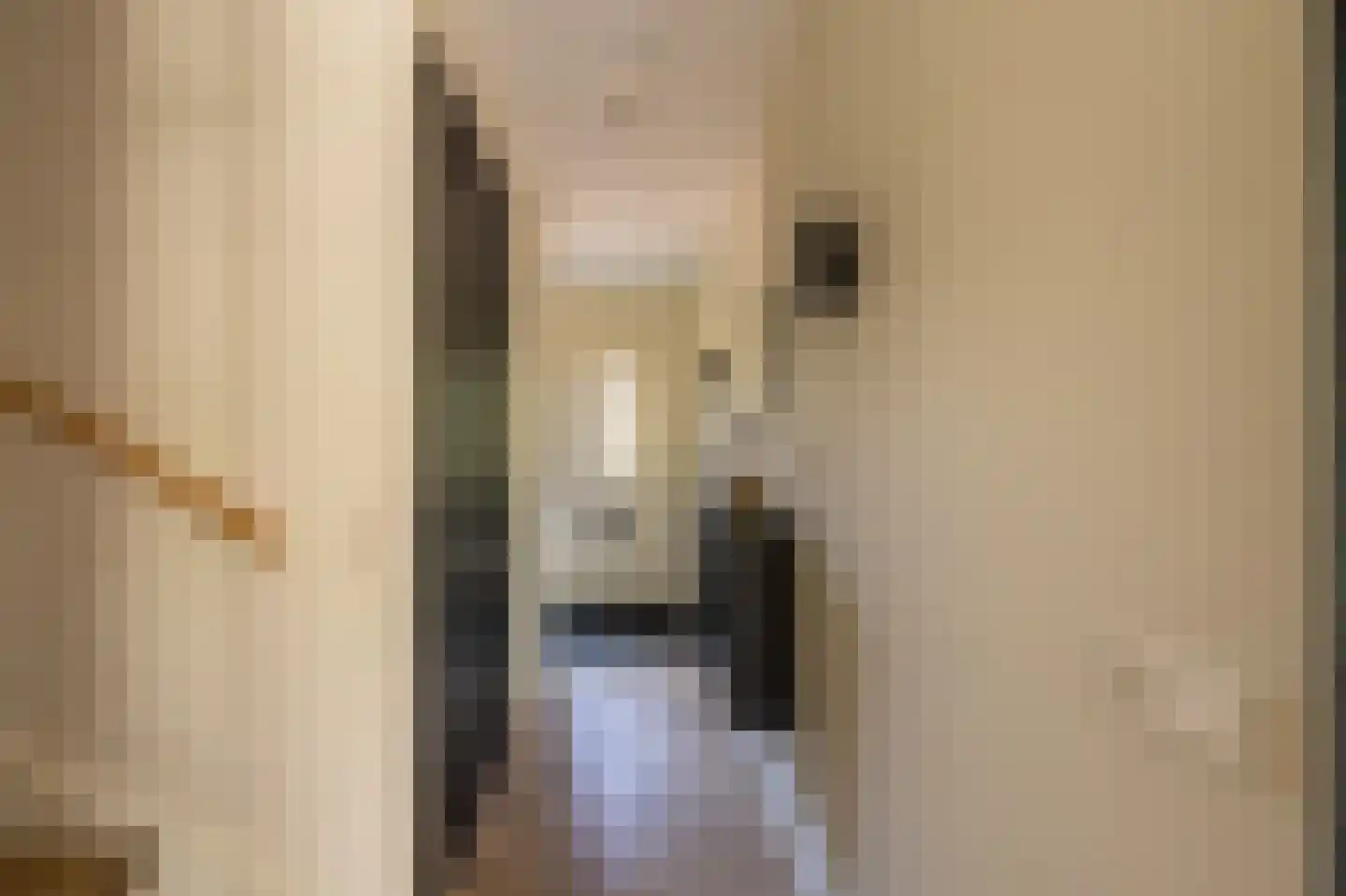 Harmsen van der Beeklaan 8 Blaricum thumbnail 6