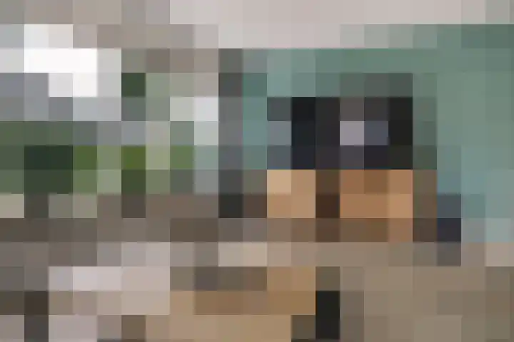 Harn 27 Midwoud thumbnail 10