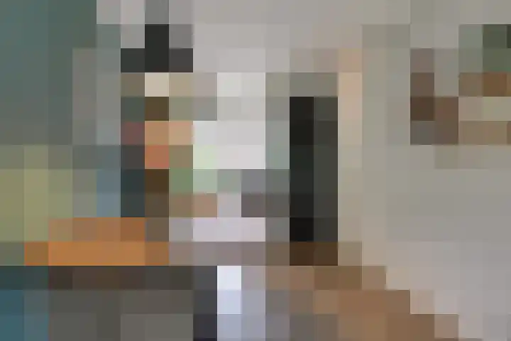 Harn 27 Midwoud thumbnail 11