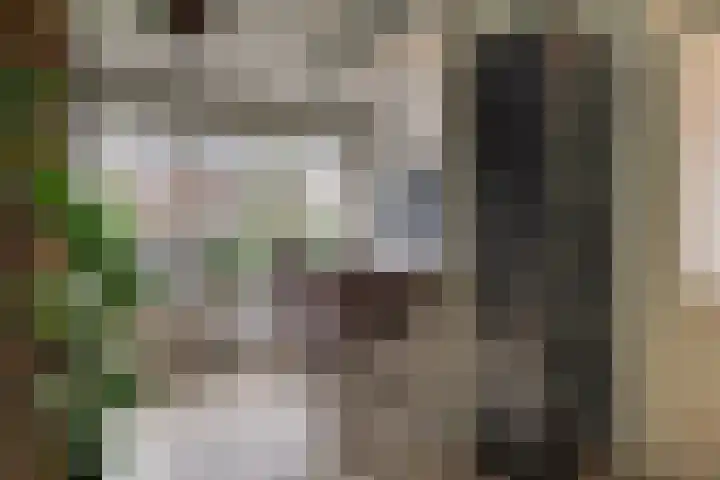 Harn 27 Midwoud thumbnail 12