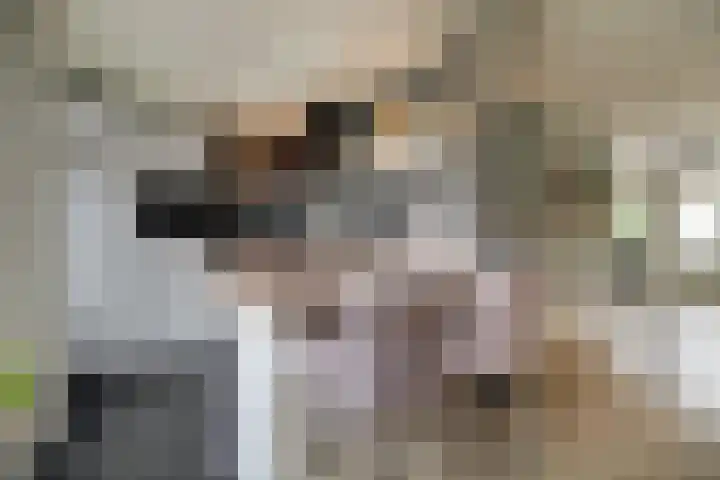 Harn 27 Midwoud thumbnail 13