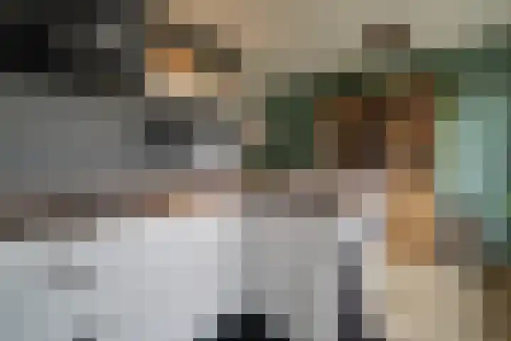 Harn 27 Midwoud thumbnail 14