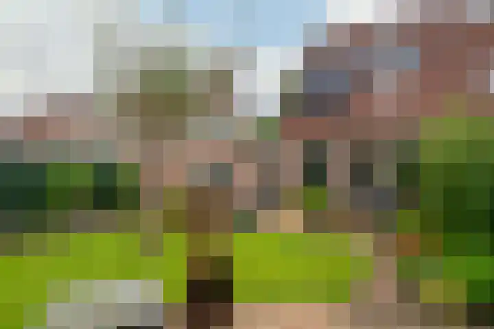 Harn 27 Midwoud thumbnail 16